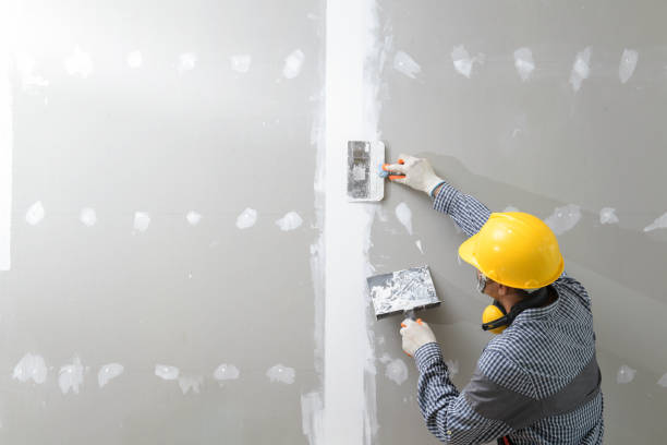 Best Real Estate Mold Inspection  in Scenic Oaks, TX