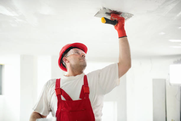 Professional Mold Removal in Scenic Oaks, TX